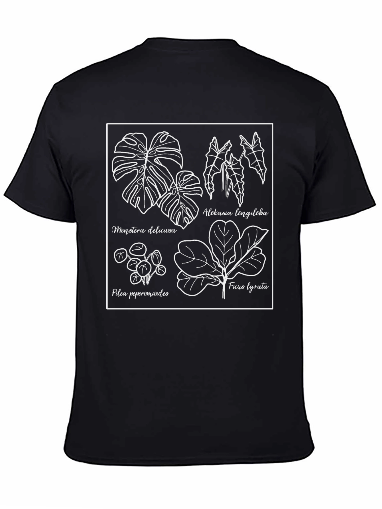 Botanical Print Tee - Black Graphic T-Shirt