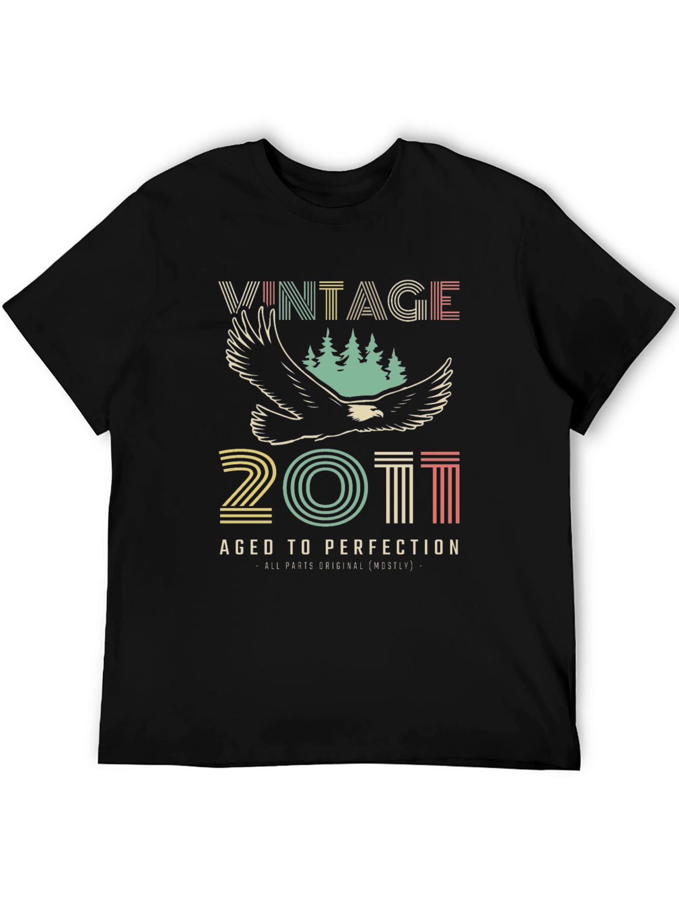 Vintage 2011 Aged to Perfection Black T-Shirt