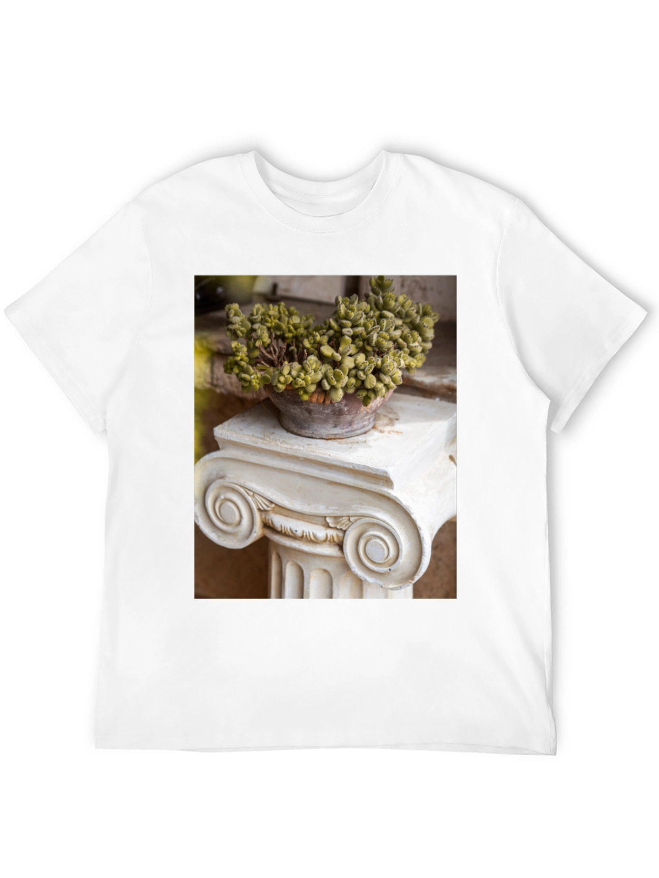 Plant on Column Black T-Shirt