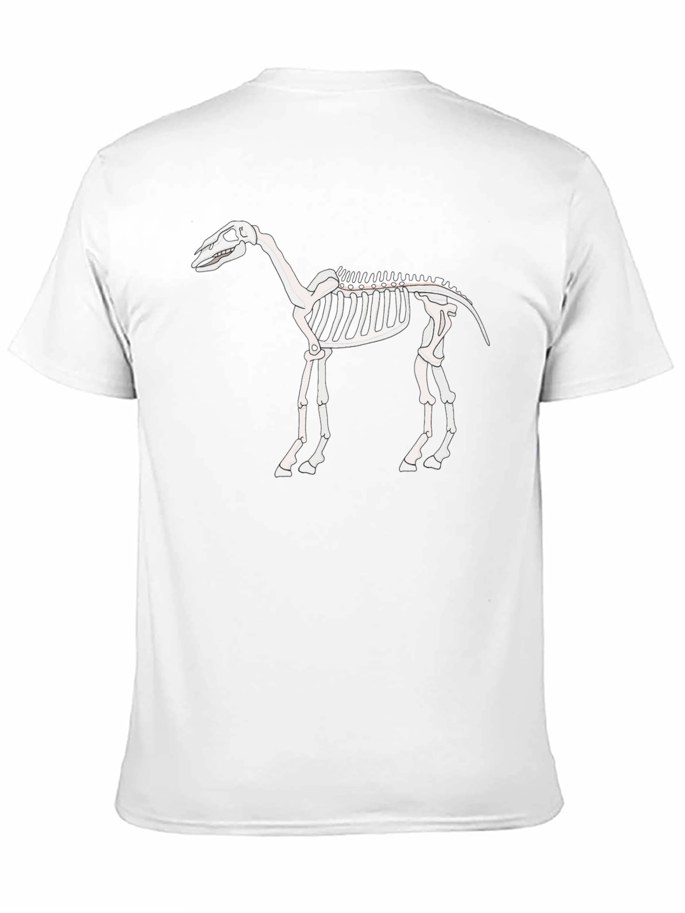 Horse Skeleton Graphic Tee - Black T-Shirt