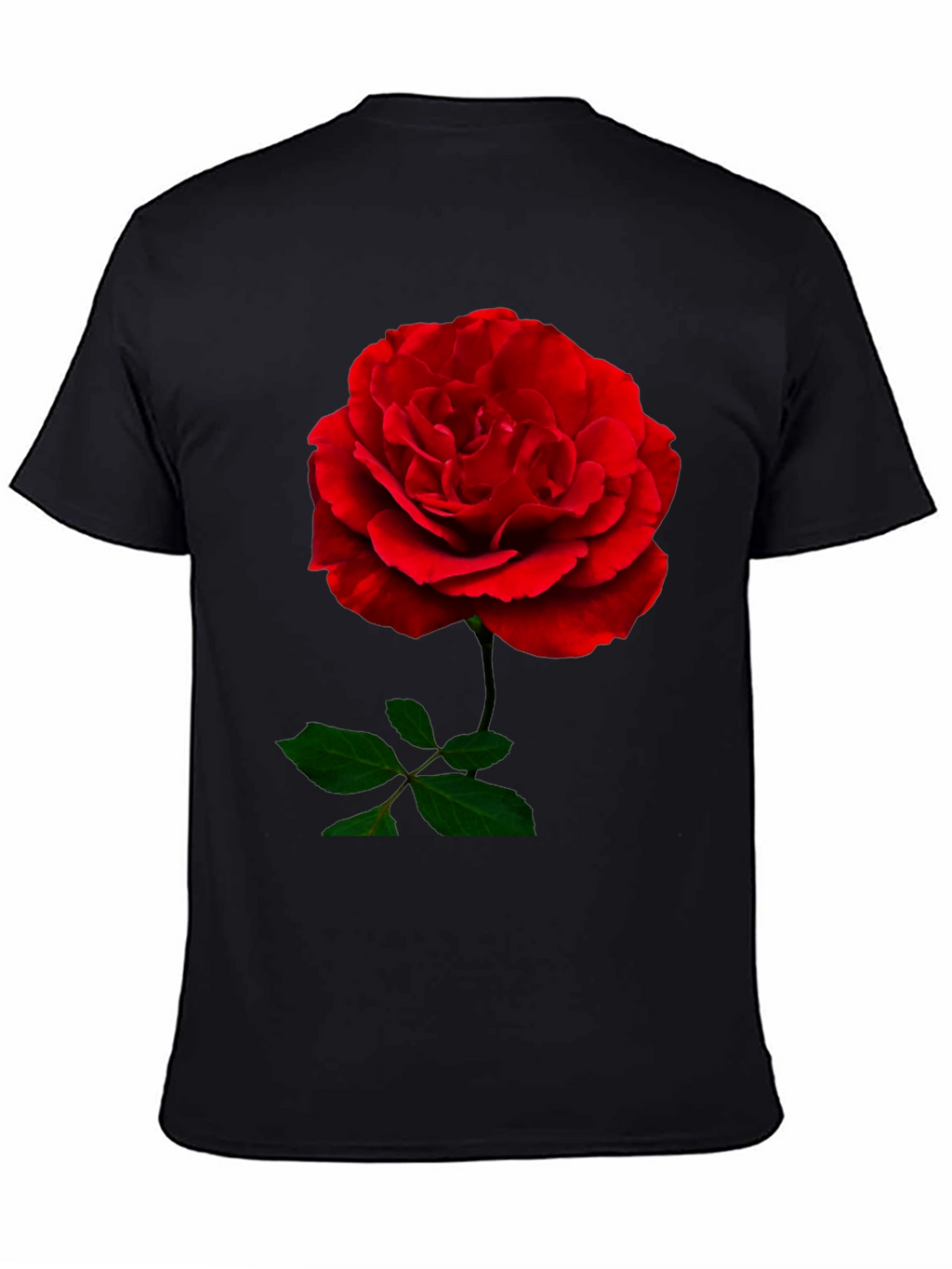 Red Rose Graphic Print Black T-Shirt