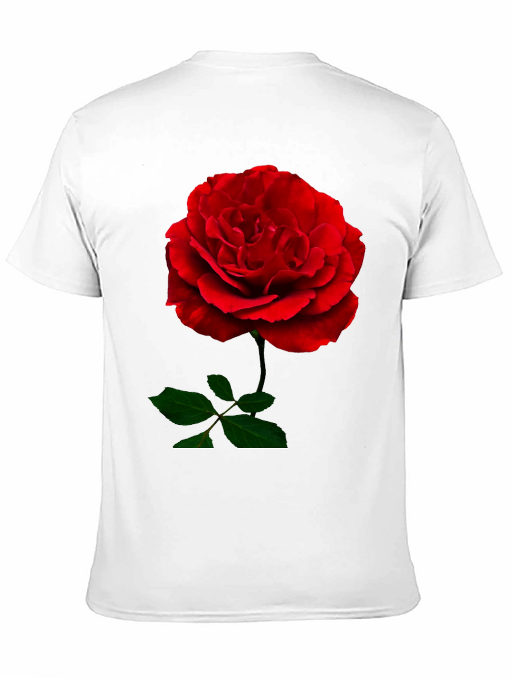 Red Rose Graphic Print Black T-Shirt
