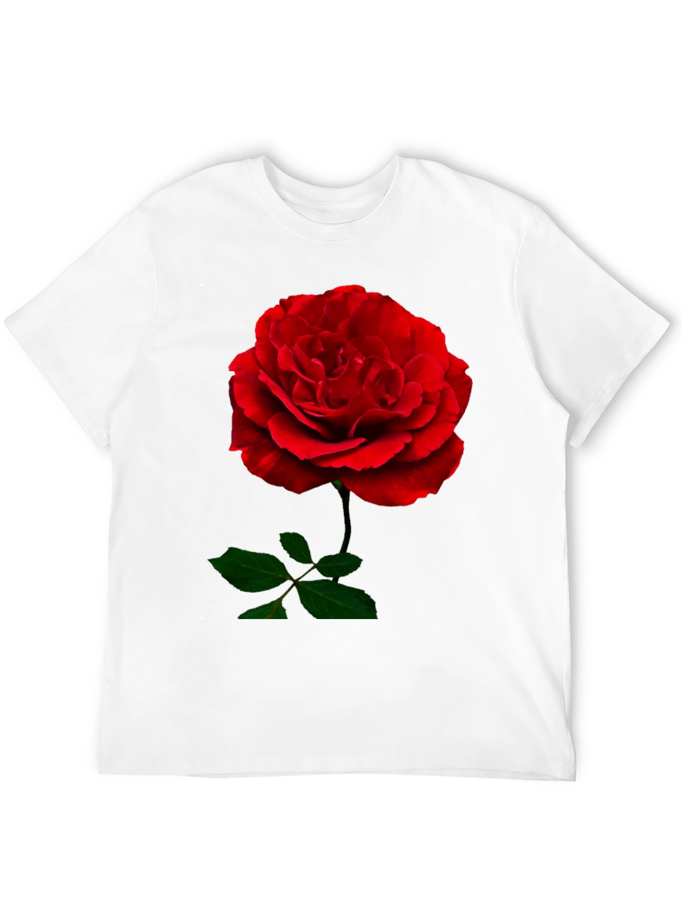 Red Rose Graphic Print Black T-Shirt