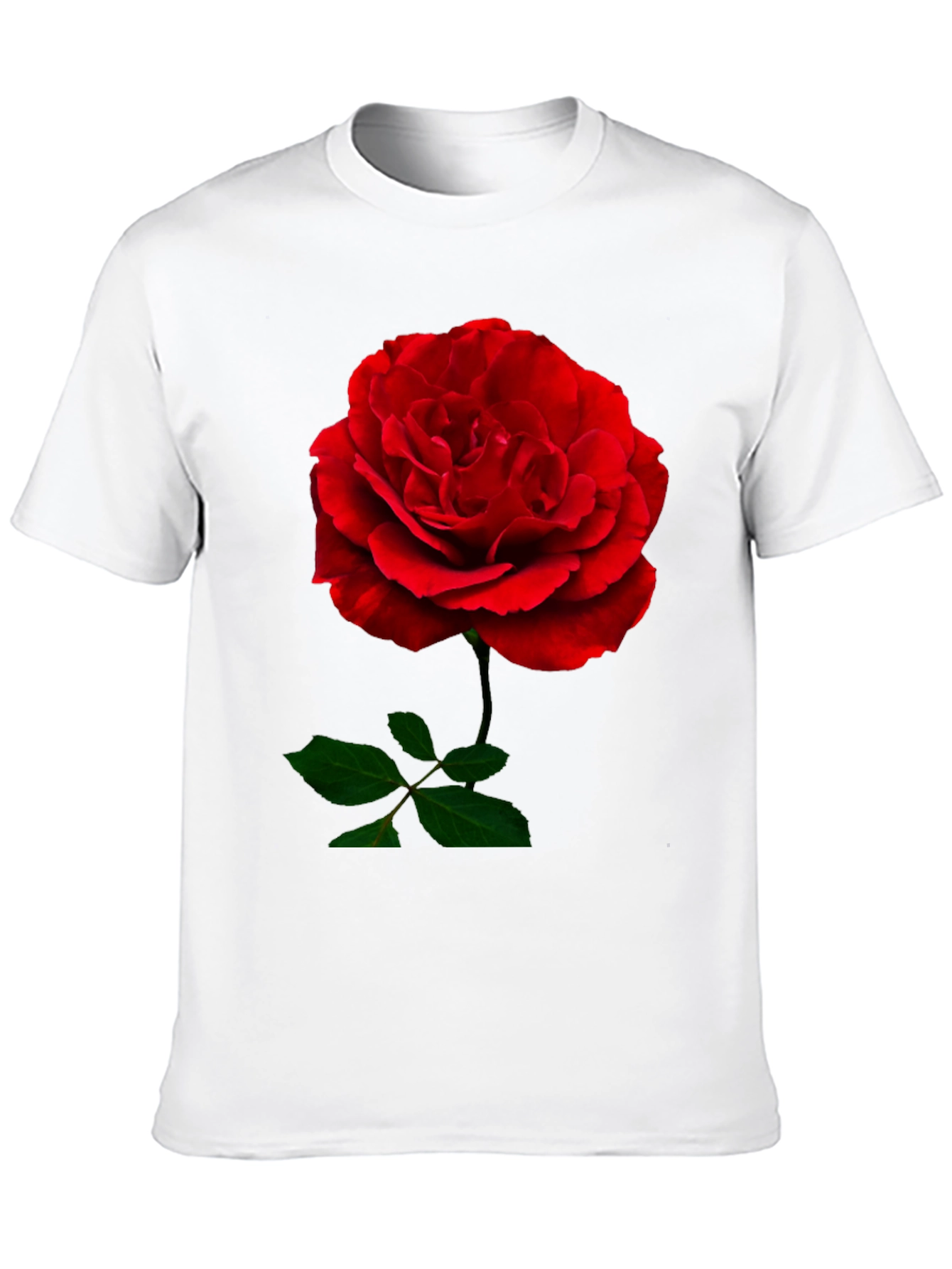 Red Rose Graphic Print Black T-Shirt
