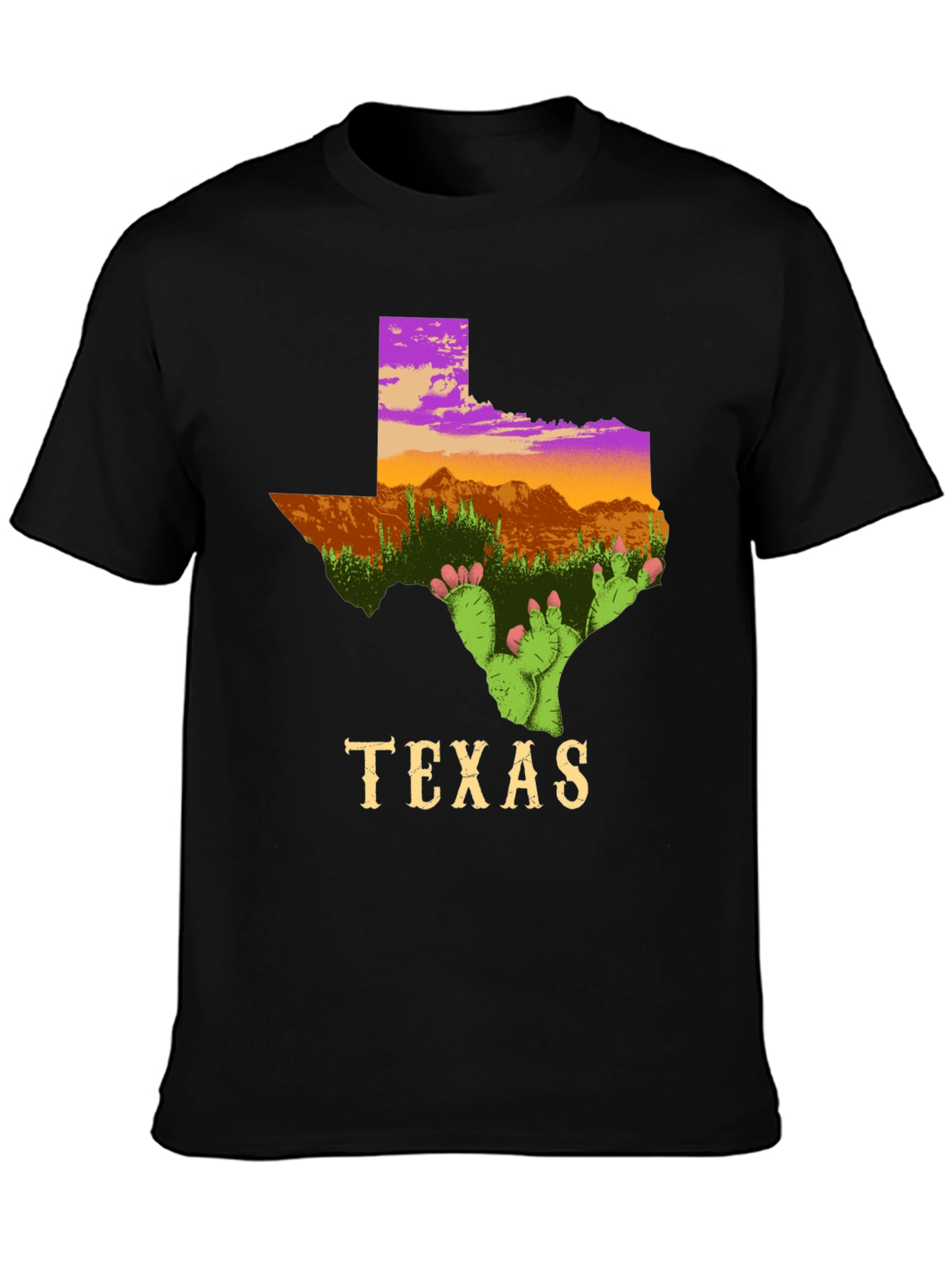 Texas Cactus T-Shirt State Pride Graphic Tee