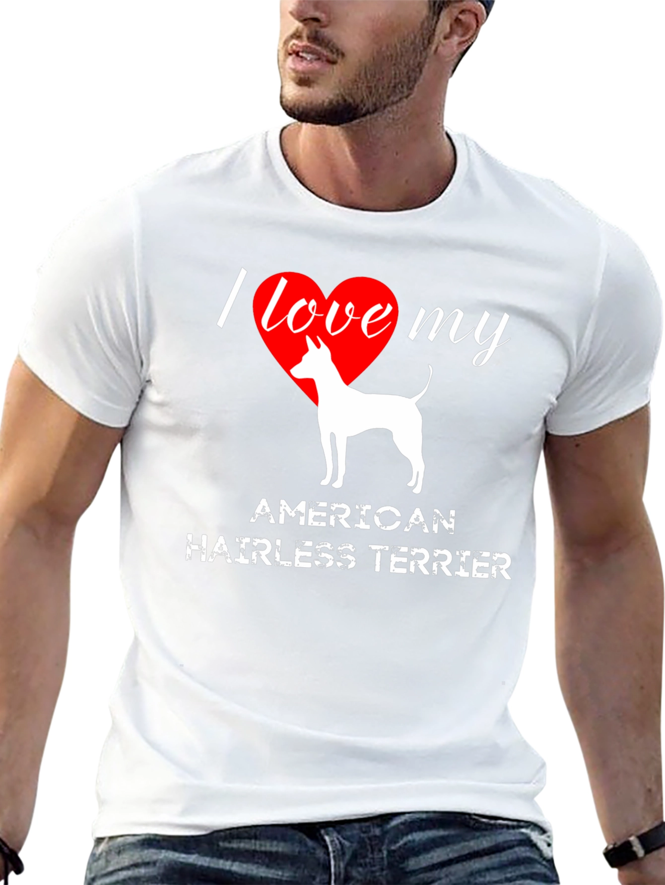 I Love My American Hairless Terrier T-Shirt