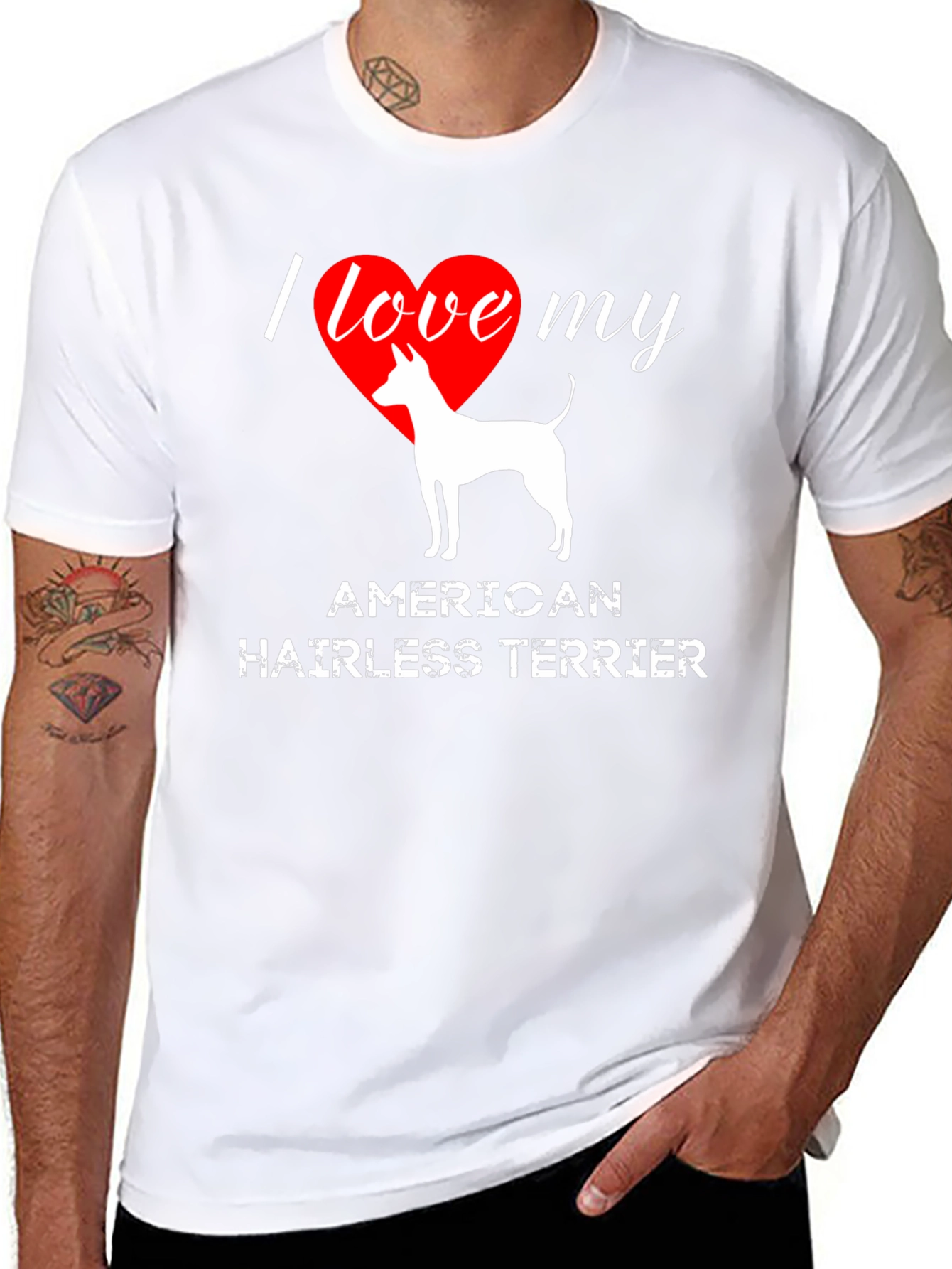 I Love My American Hairless Terrier T-Shirt