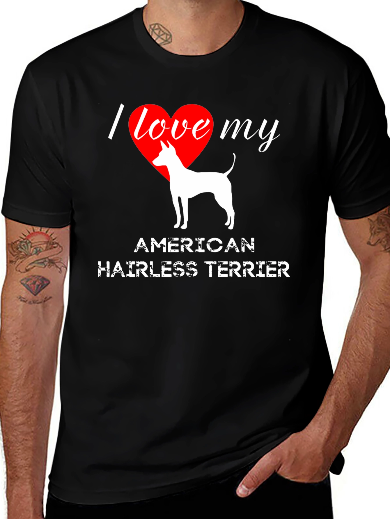 I Love My American Hairless Terrier T-Shirt