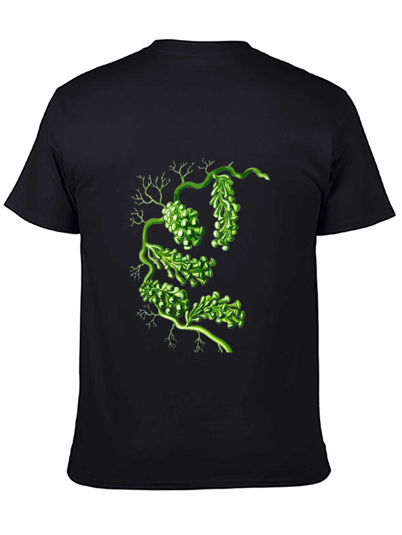 Botanical Green Algae Graphic Tee