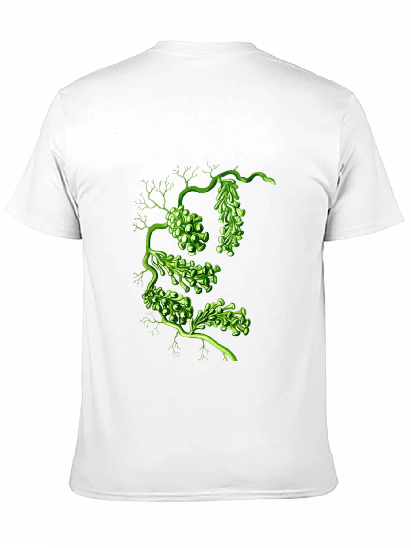 Botanical Green Algae Graphic Tee