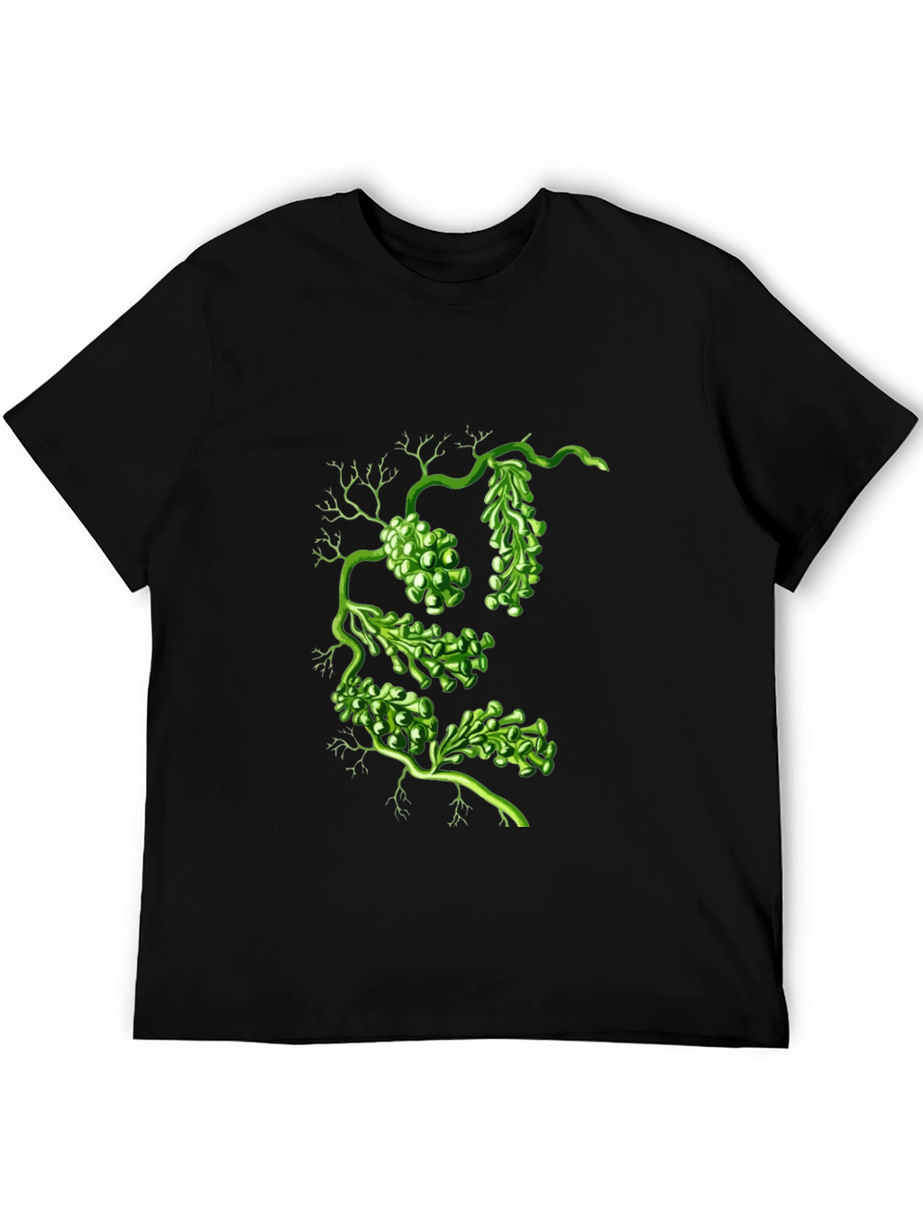 Botanical Green Algae Graphic Tee