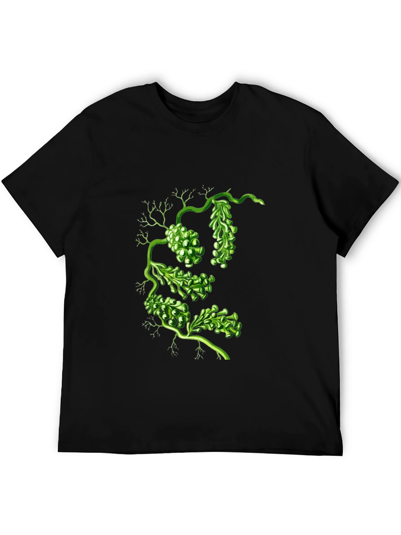 Botanical Green Algae Graphic Tee