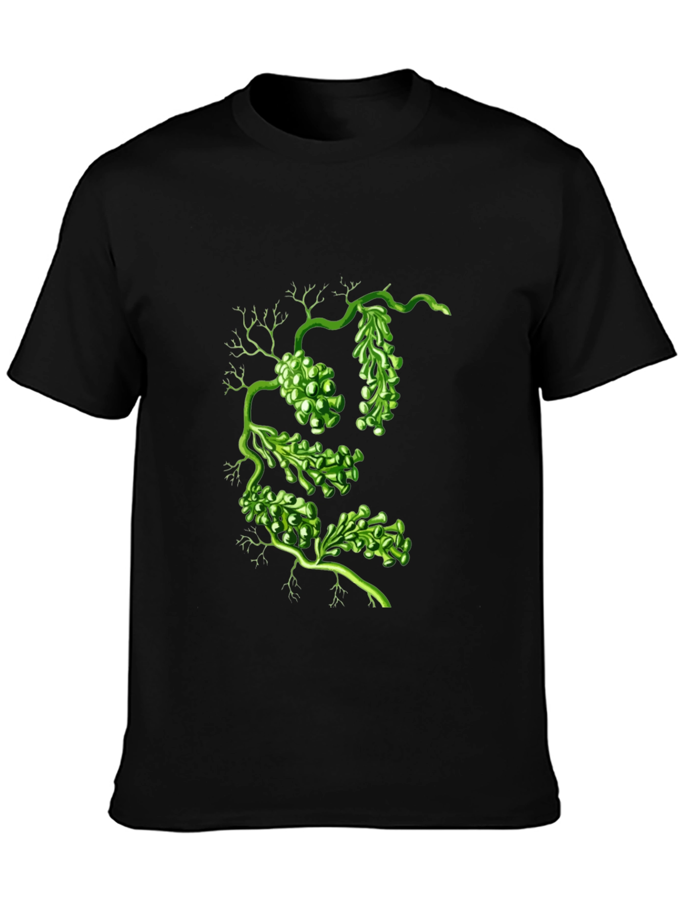 Botanical Green Algae Graphic Tee