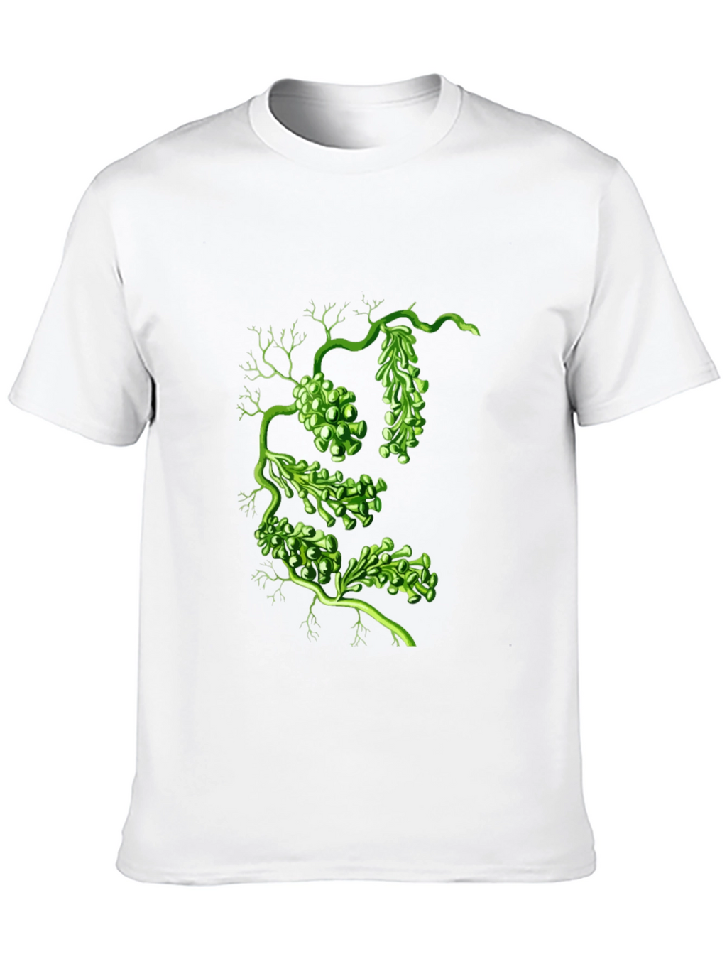 Botanical Green Algae Graphic Tee