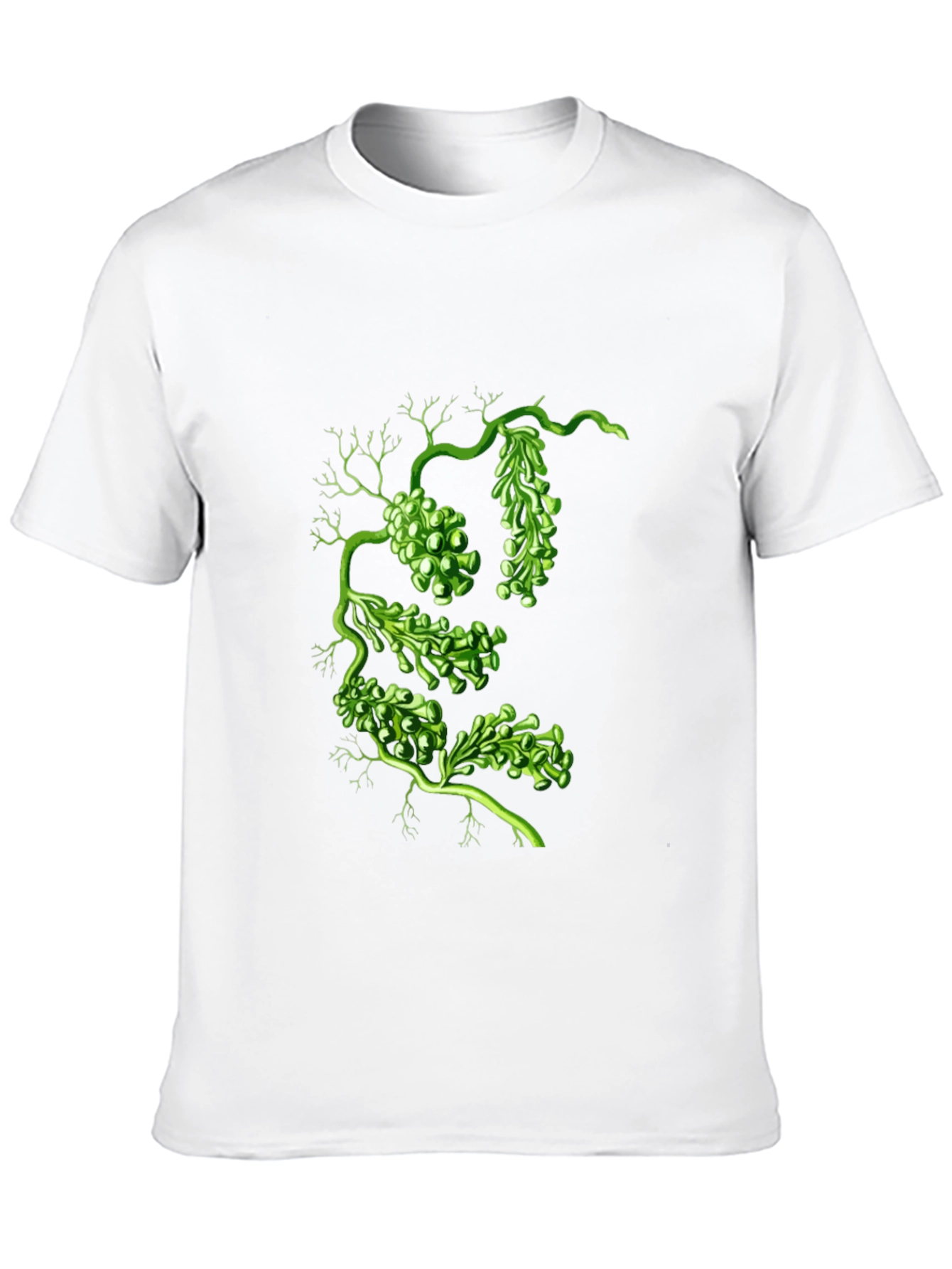 Botanical Green Algae Graphic Tee