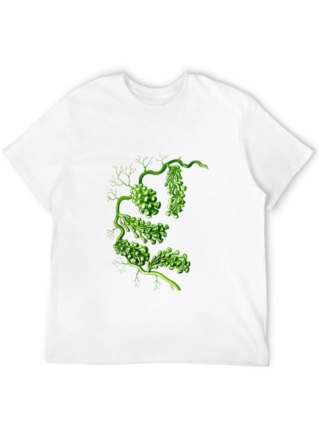 Botanical Green Algae Graphic Tee