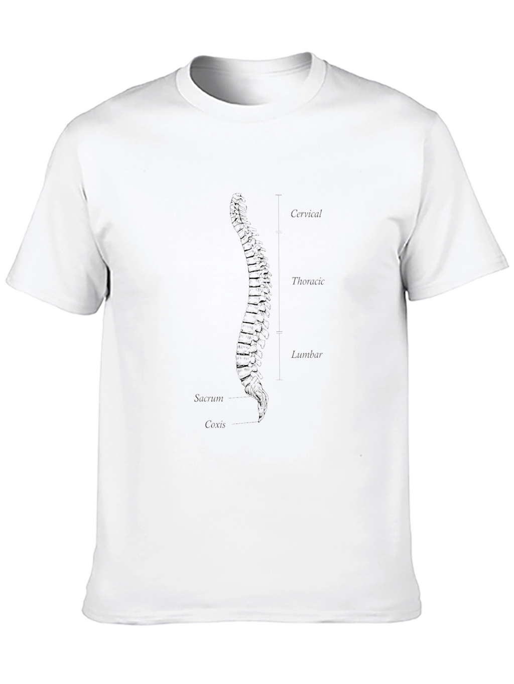 Anatomical Spine Graphic T-Shirt - Black