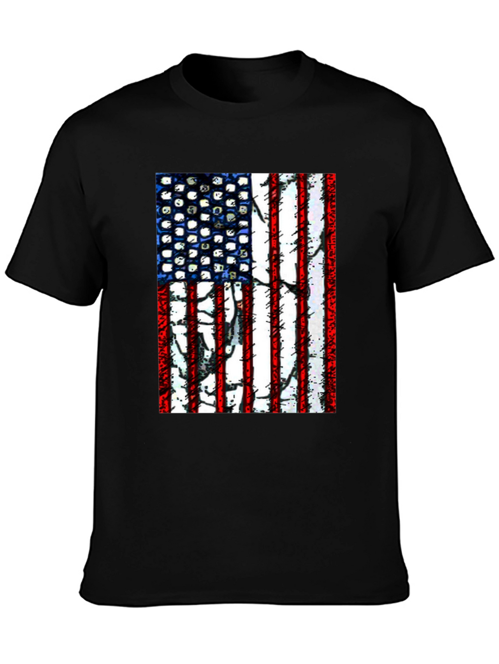 American Flag Graphic T-Shirt