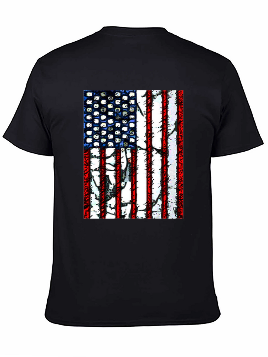 American Flag Graphic T-Shirt