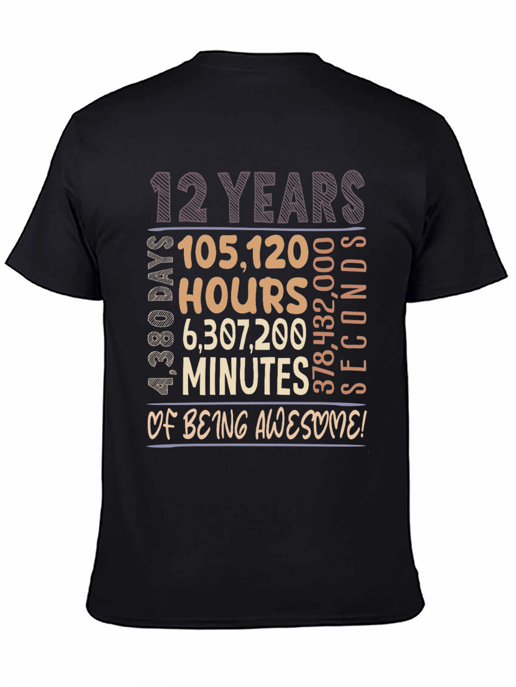 12 Years Of Being Awesome T-Shirt