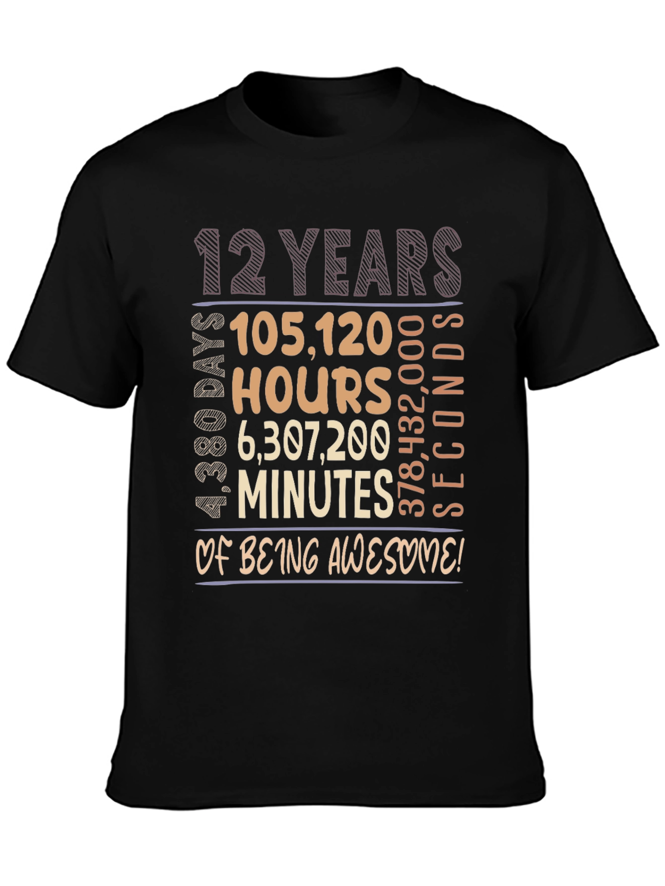 12 Years Of Being Awesome T-Shirt