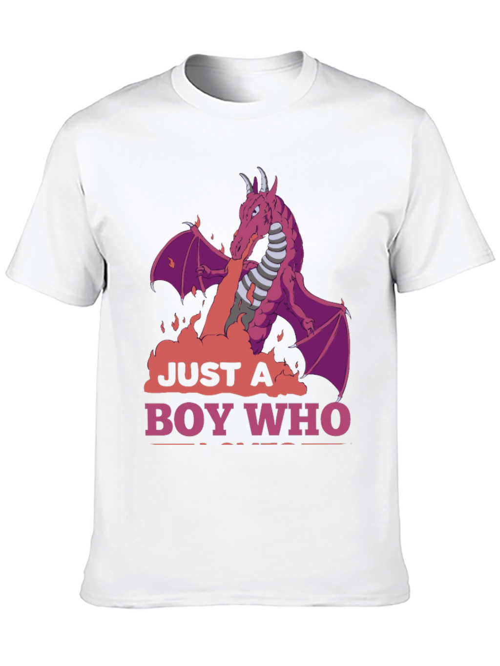 Dragon Boy T-Shirt: Just A Boy Who Loves Dragons