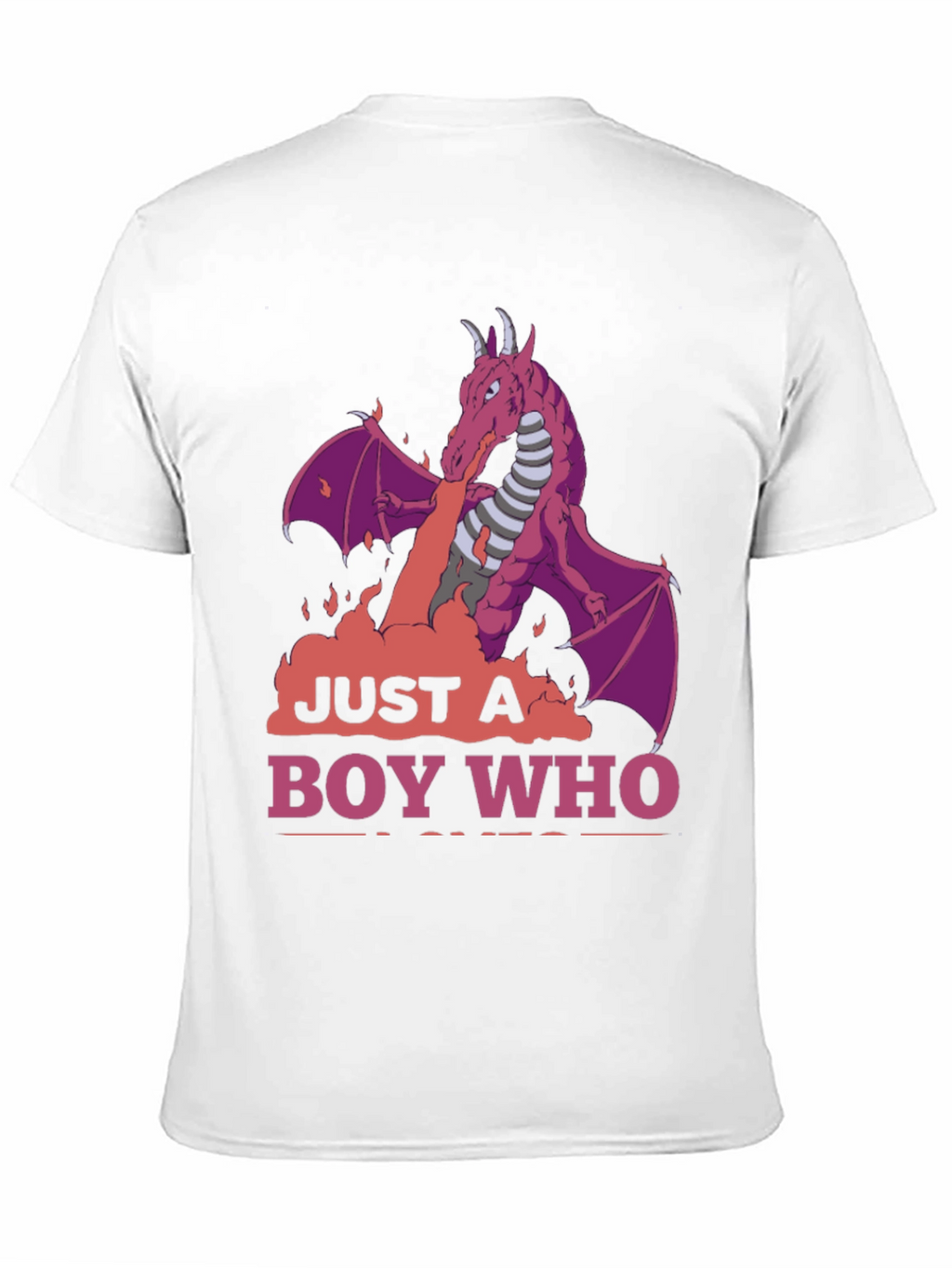 Dragon Boy T-Shirt: Just A Boy Who Loves Dragons