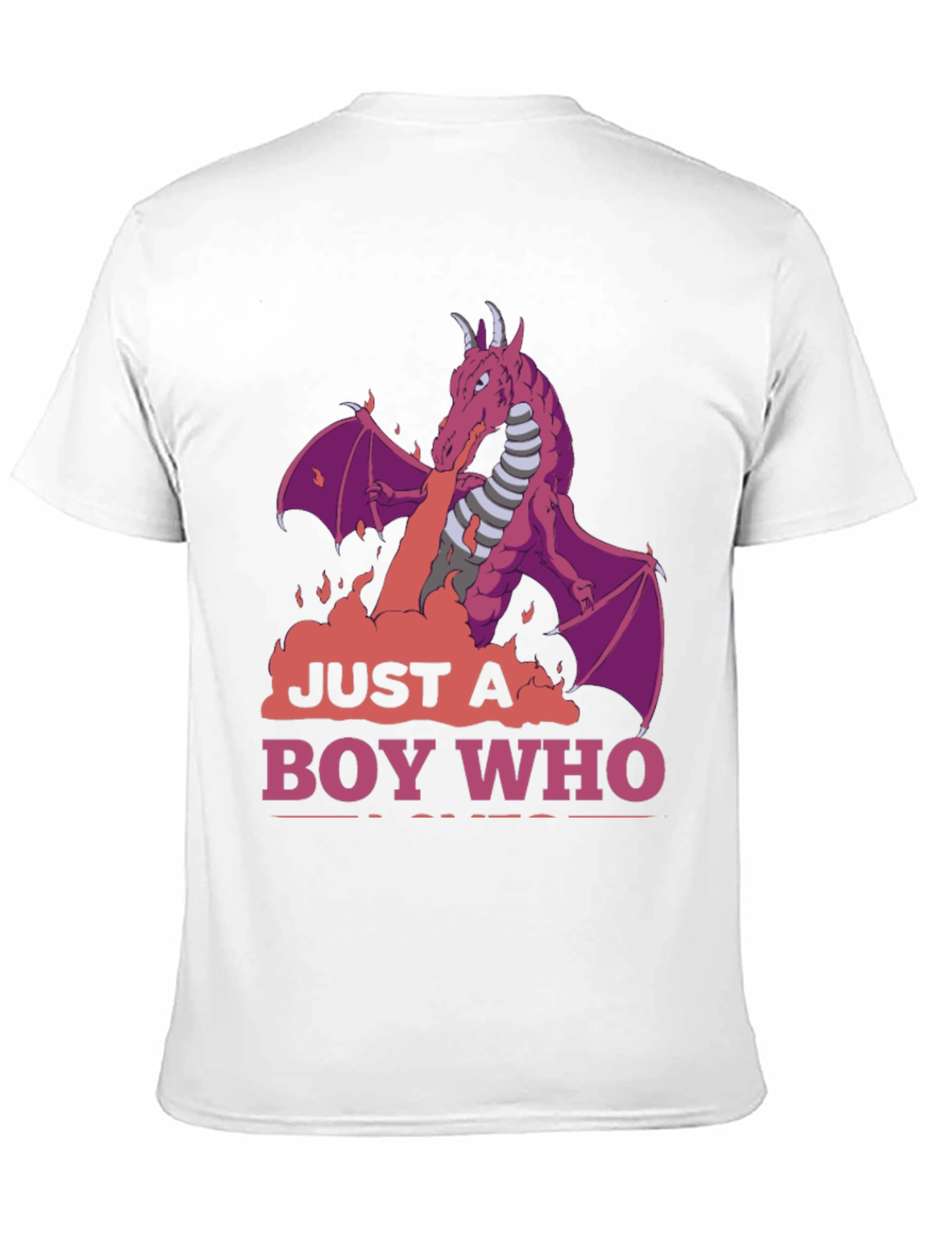 Dragon Boy T-Shirt: Just A Boy Who Loves Dragons