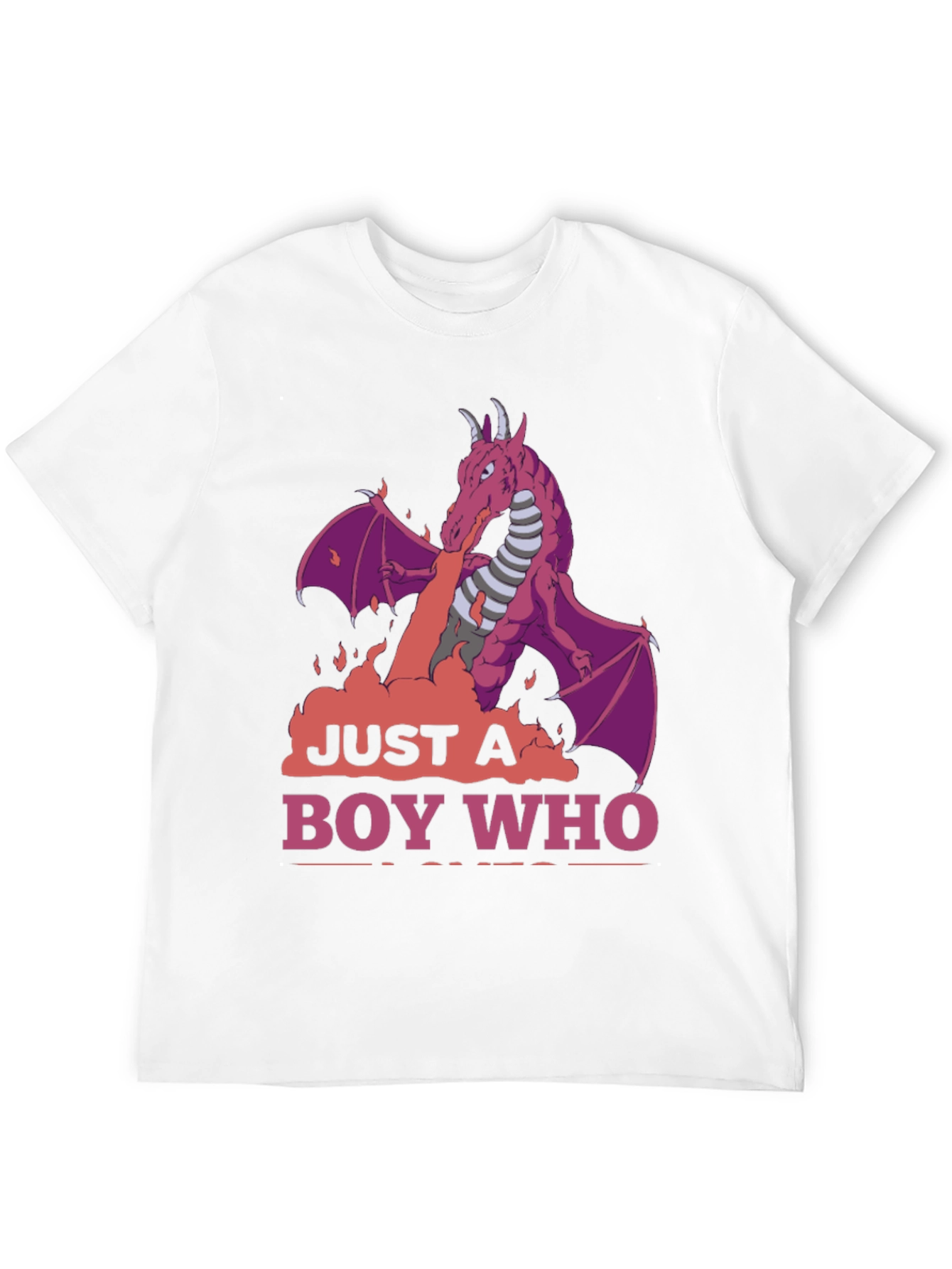 Dragon Boy T-Shirt: Just A Boy Who Loves Dragons