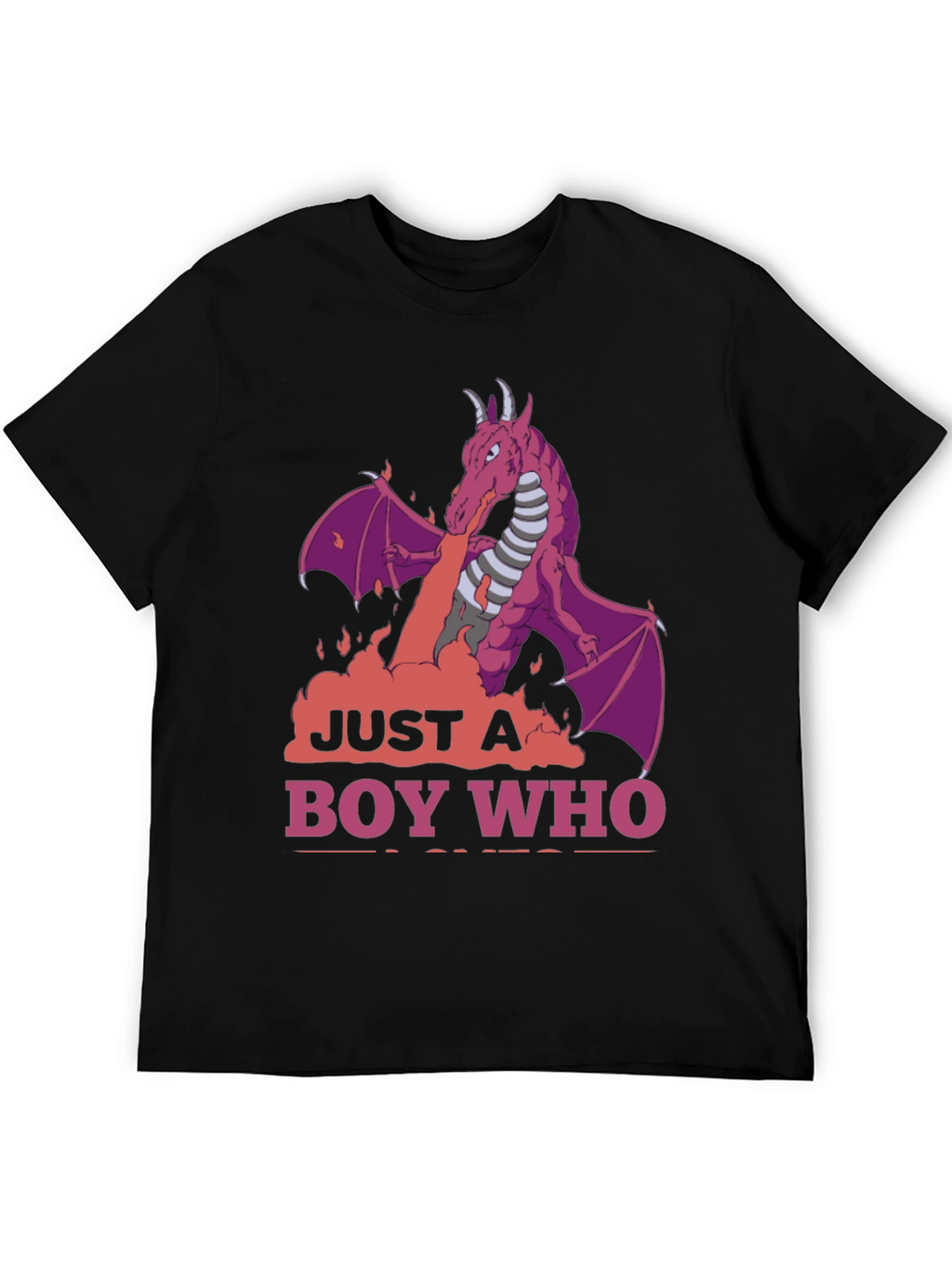 Dragon Boy T-Shirt: Just A Boy Who Loves Dragons