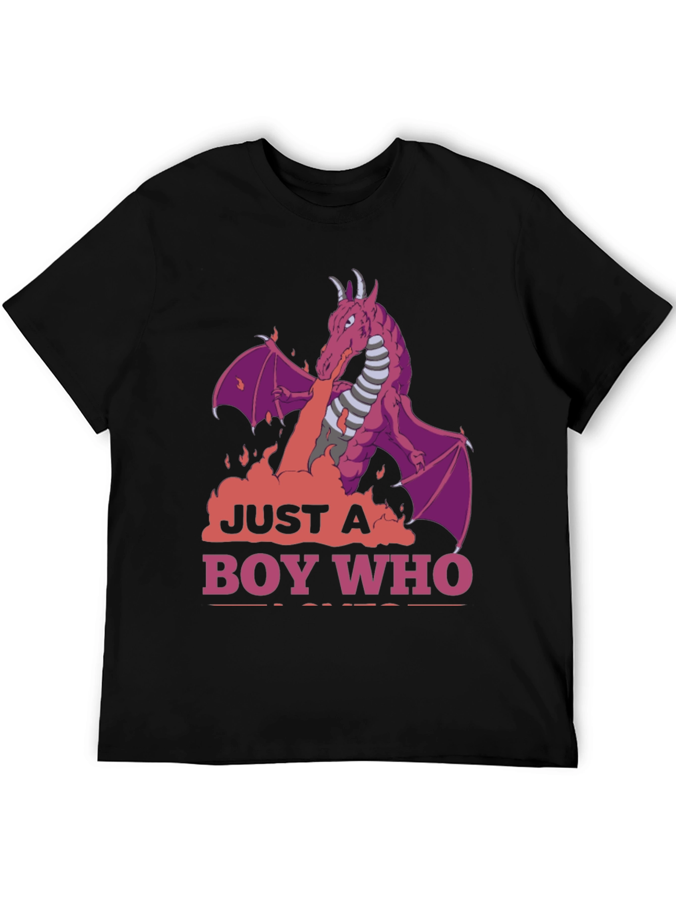 Dragon Boy T-Shirt: Just A Boy Who Loves Dragons