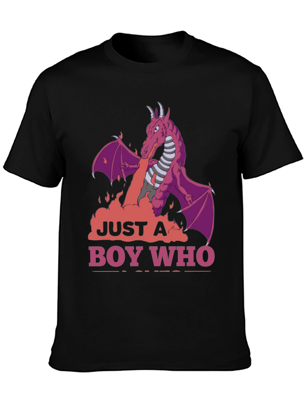 Dragon Boy T-Shirt: Just A Boy Who Loves Dragons