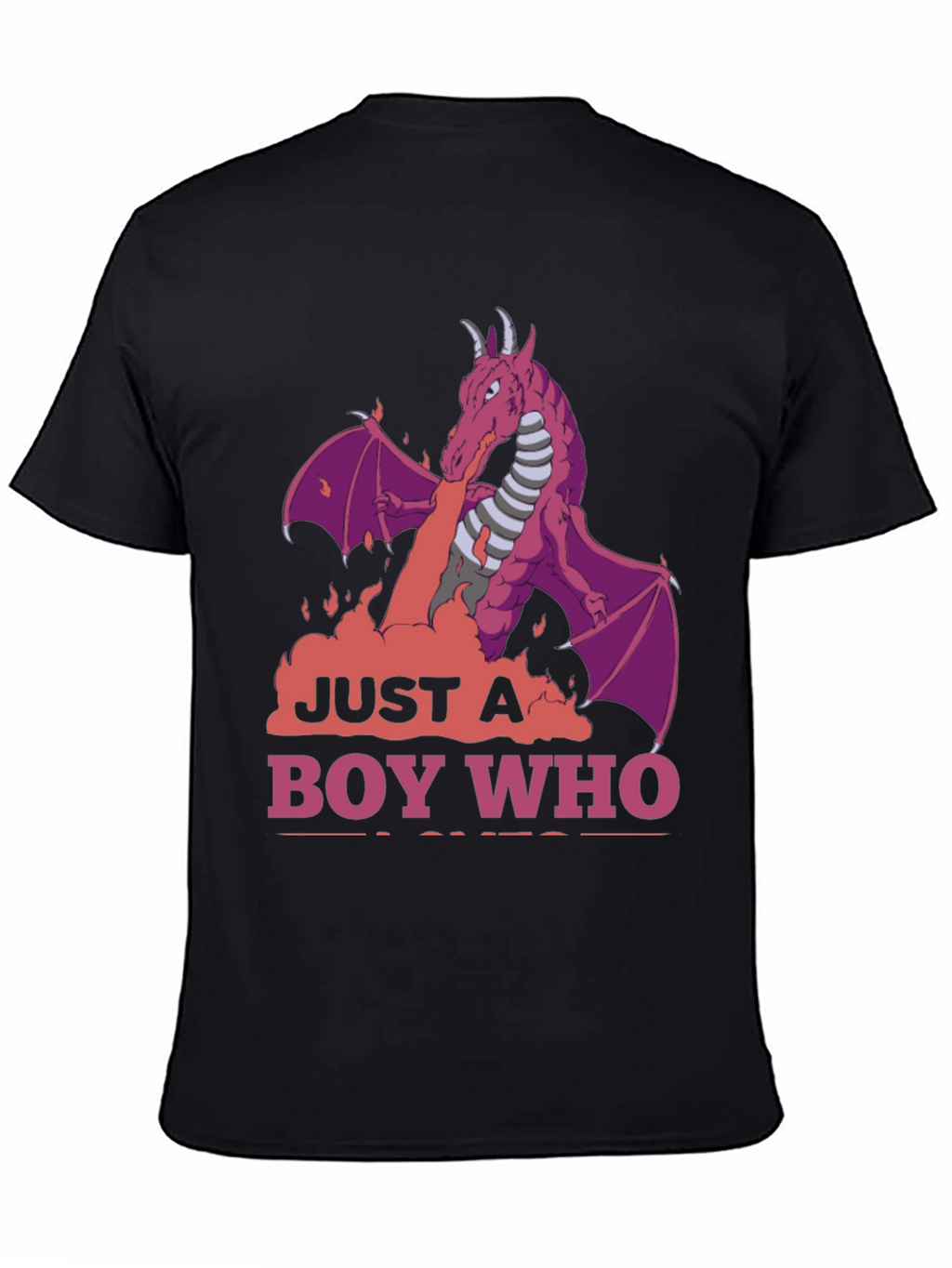 Dragon Boy T-Shirt: Just A Boy Who Loves Dragons
