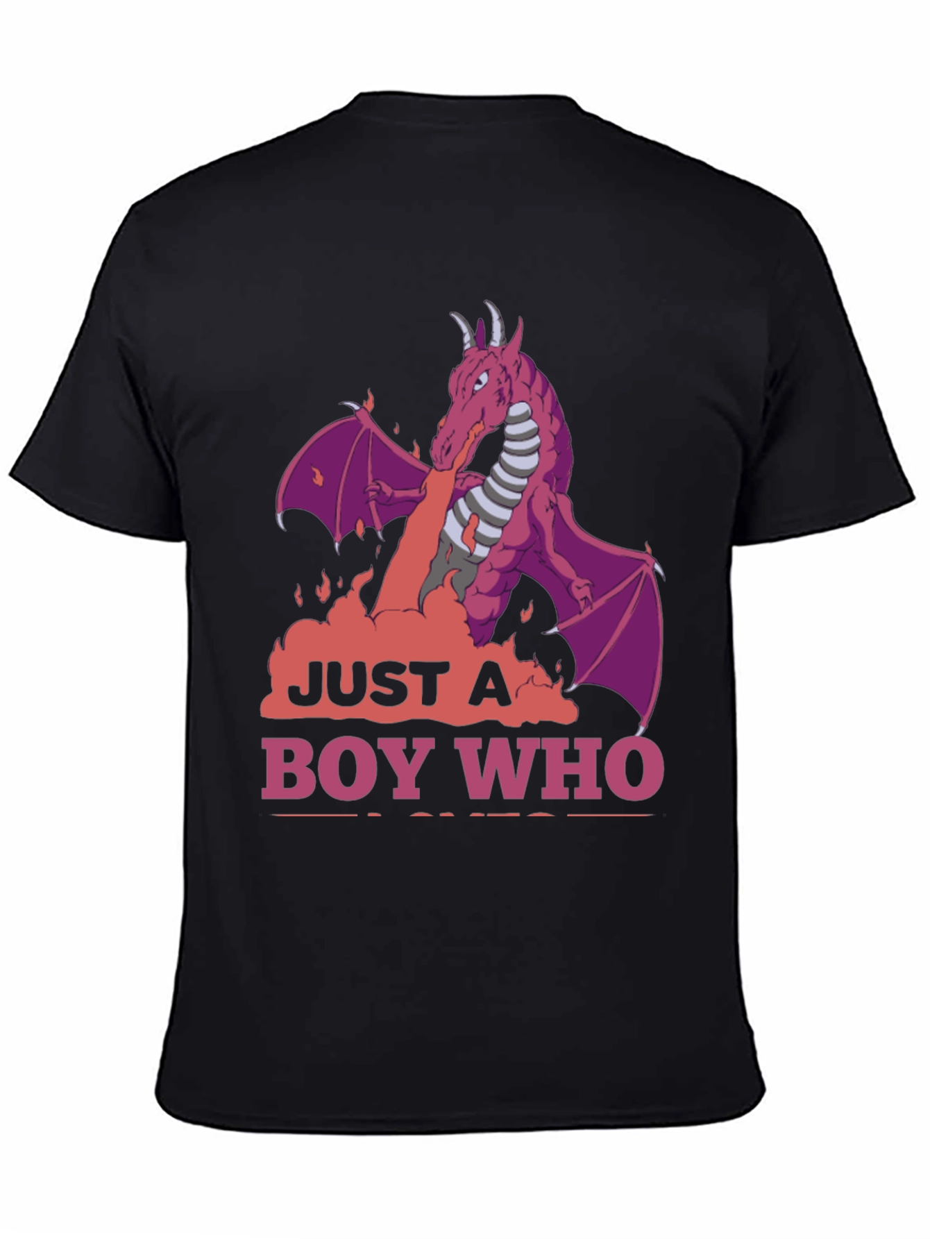 Dragon Boy T-Shirt: Just A Boy Who Loves Dragons