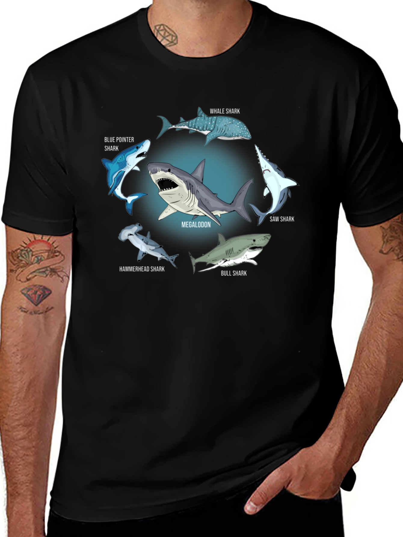 Shark Species T-Shirt: Megalodon Hammerhead & More!
