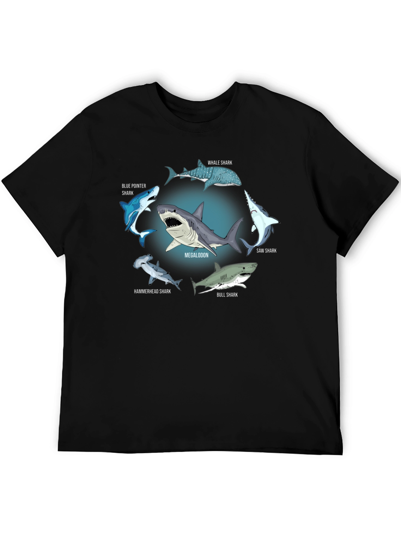 Shark Species T-Shirt: Megalodon Hammerhead & More!