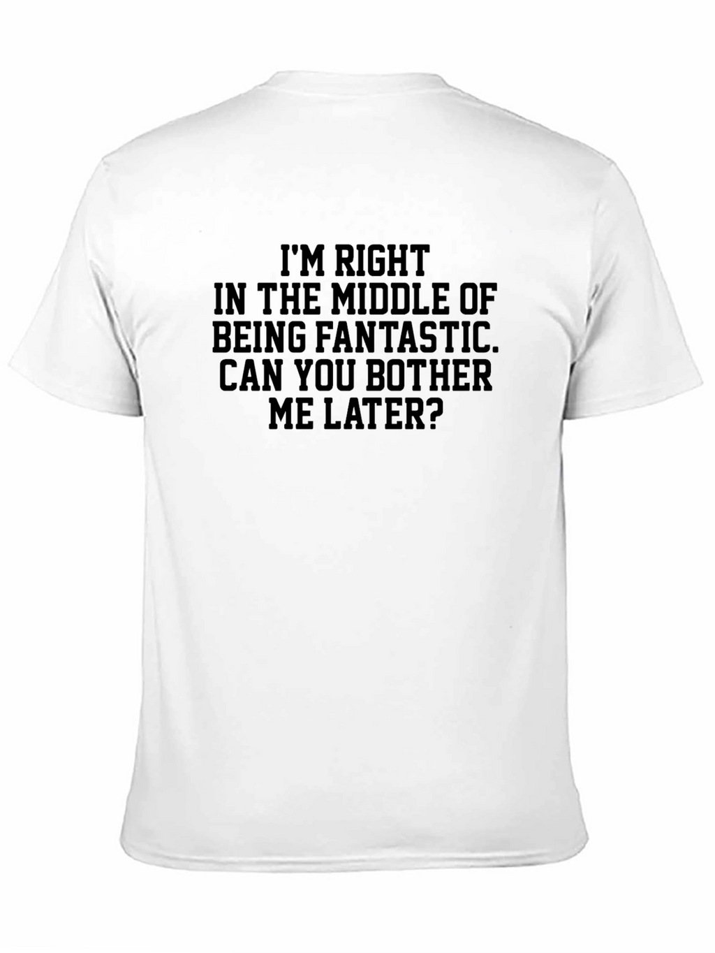 Funny Graphic Tee - Fantastic Middle