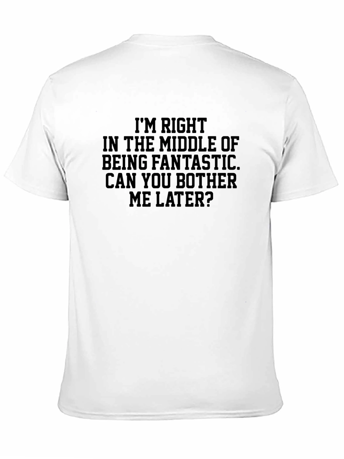Funny Graphic Tee - Fantastic Middle