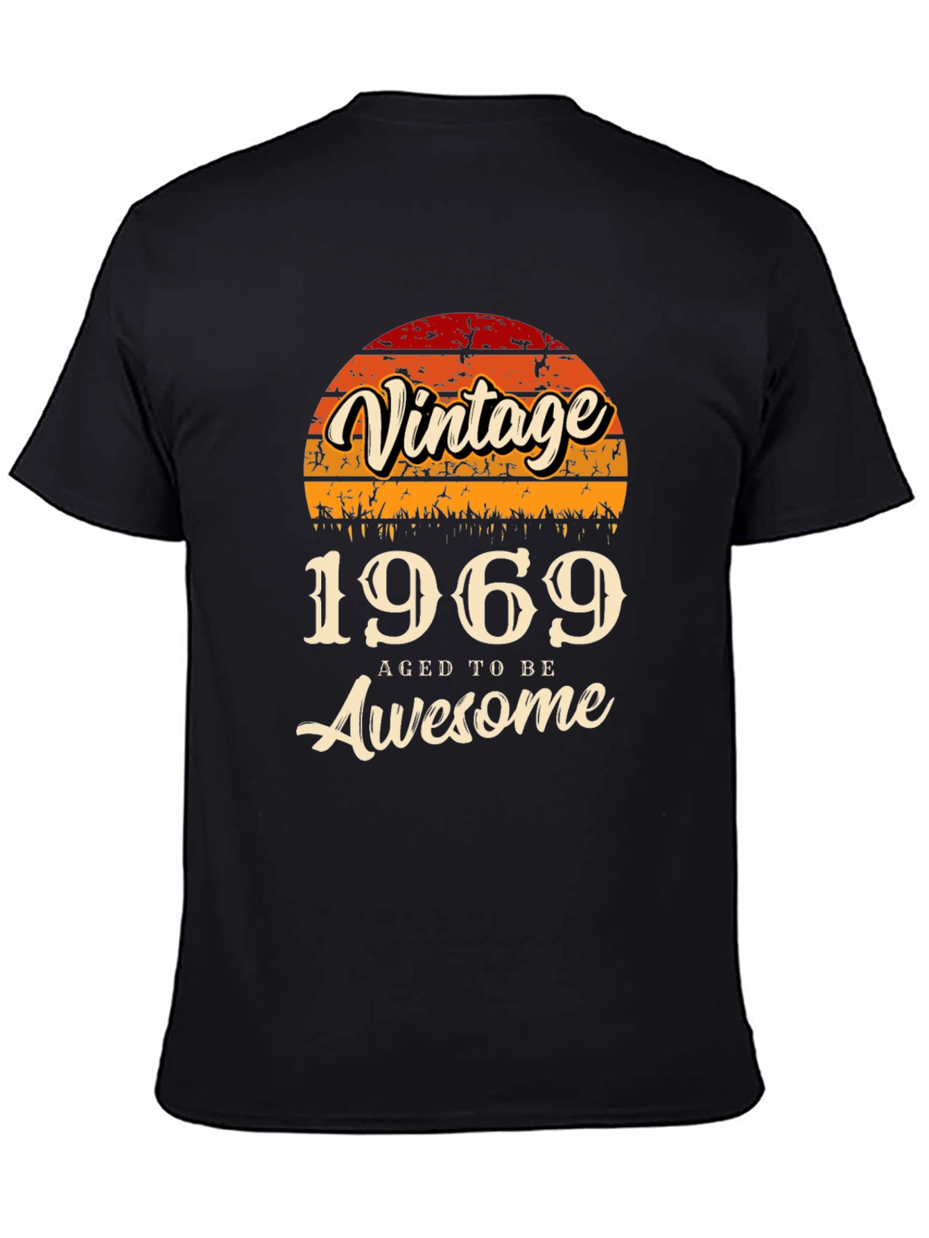 Vintage 1969 Aged to Be Awesome T-Shirt