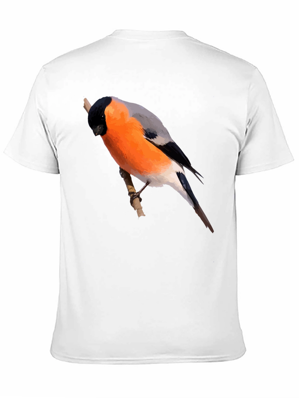 Bullfinch Bird Graphic Black T-Shirt