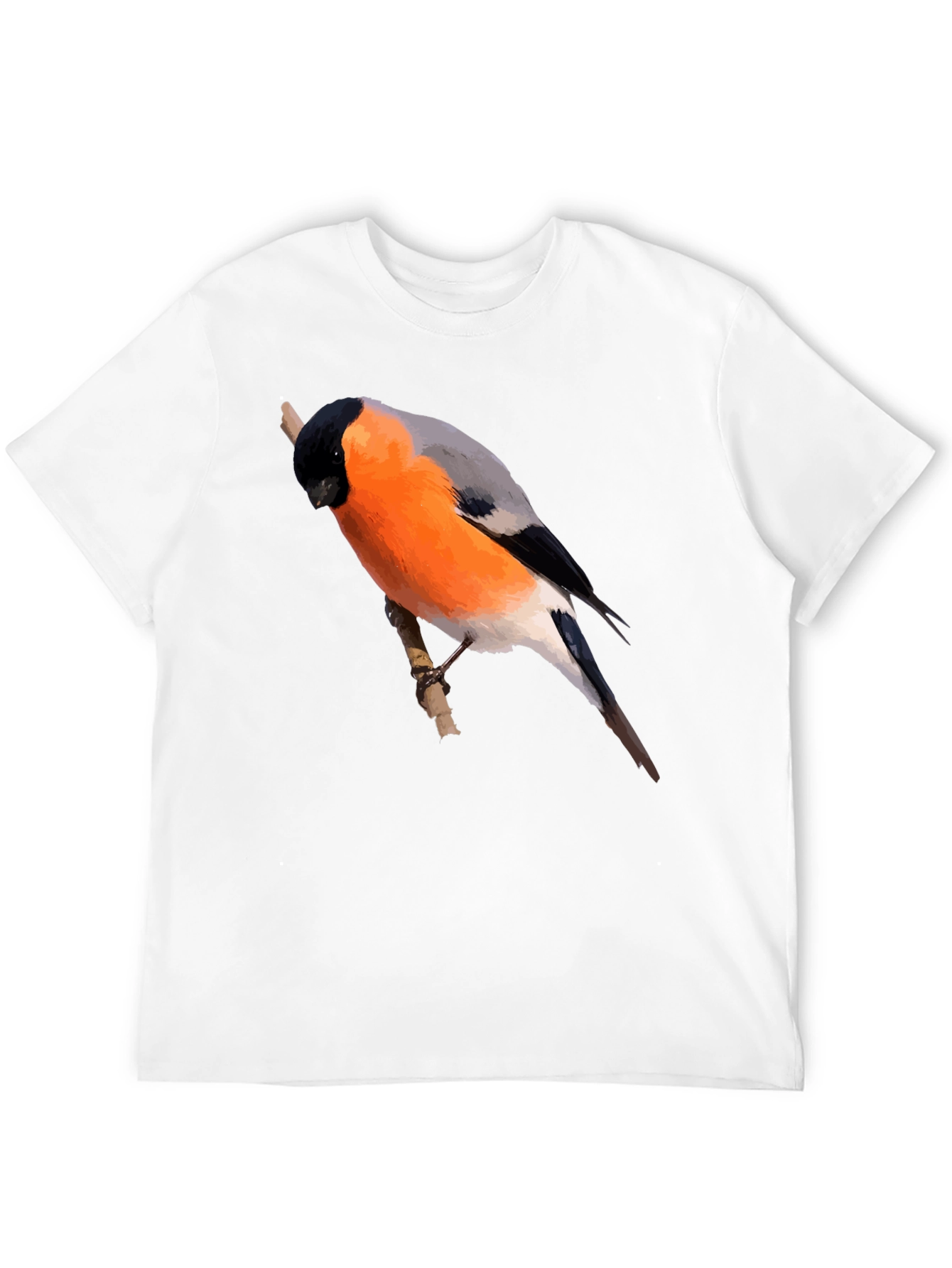 Bullfinch Bird Graphic Black T-Shirt