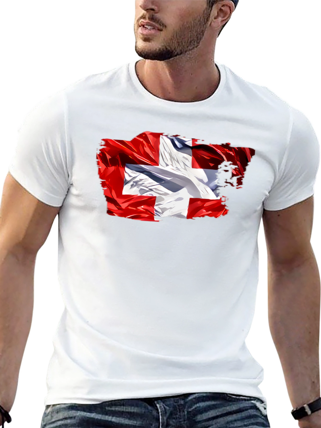 Switzerland Flag Graphic Tee - Soft Black Cotton T-Shirt