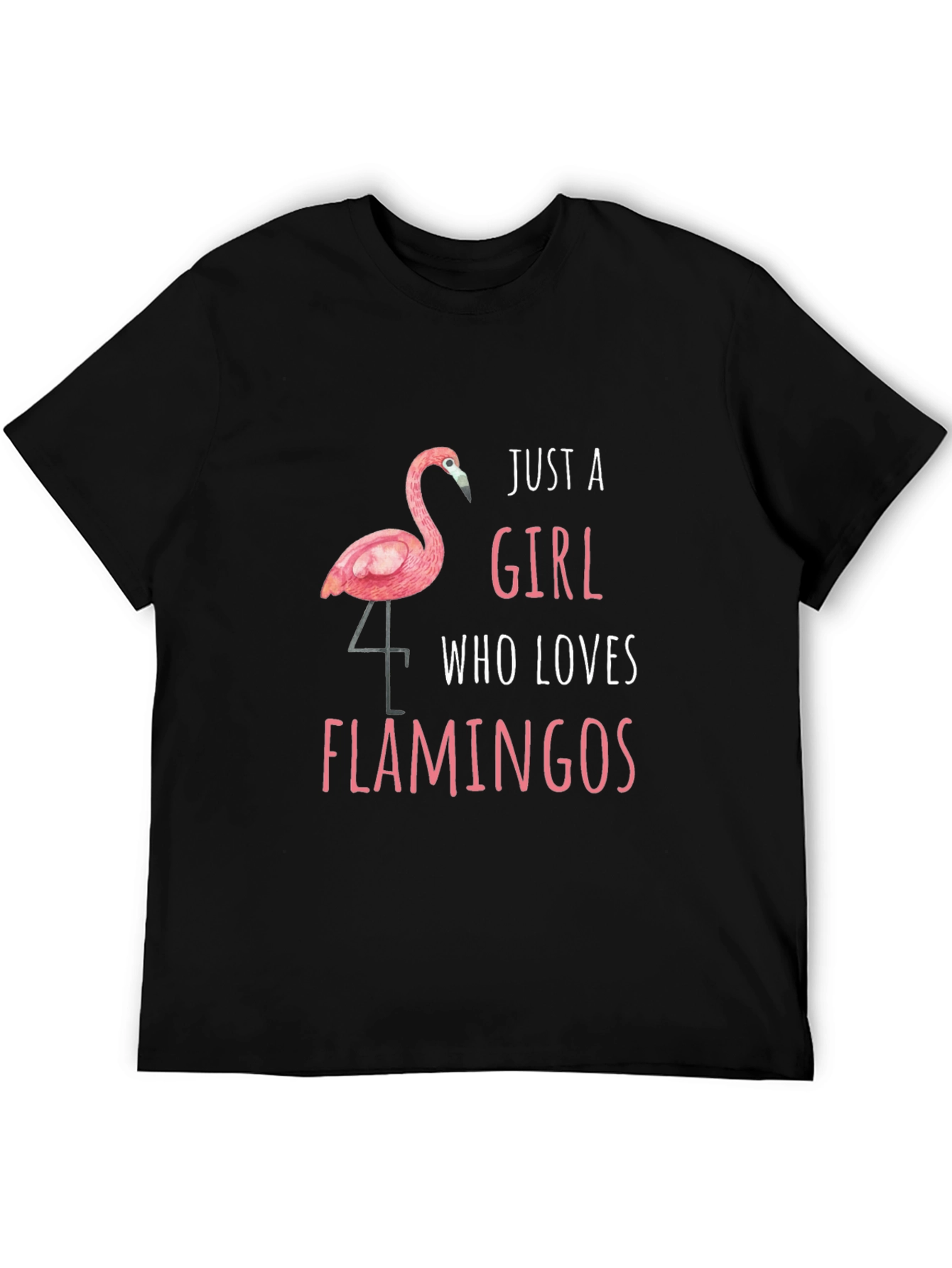 Just a Girl Who Loves Flamingos T-Shirt