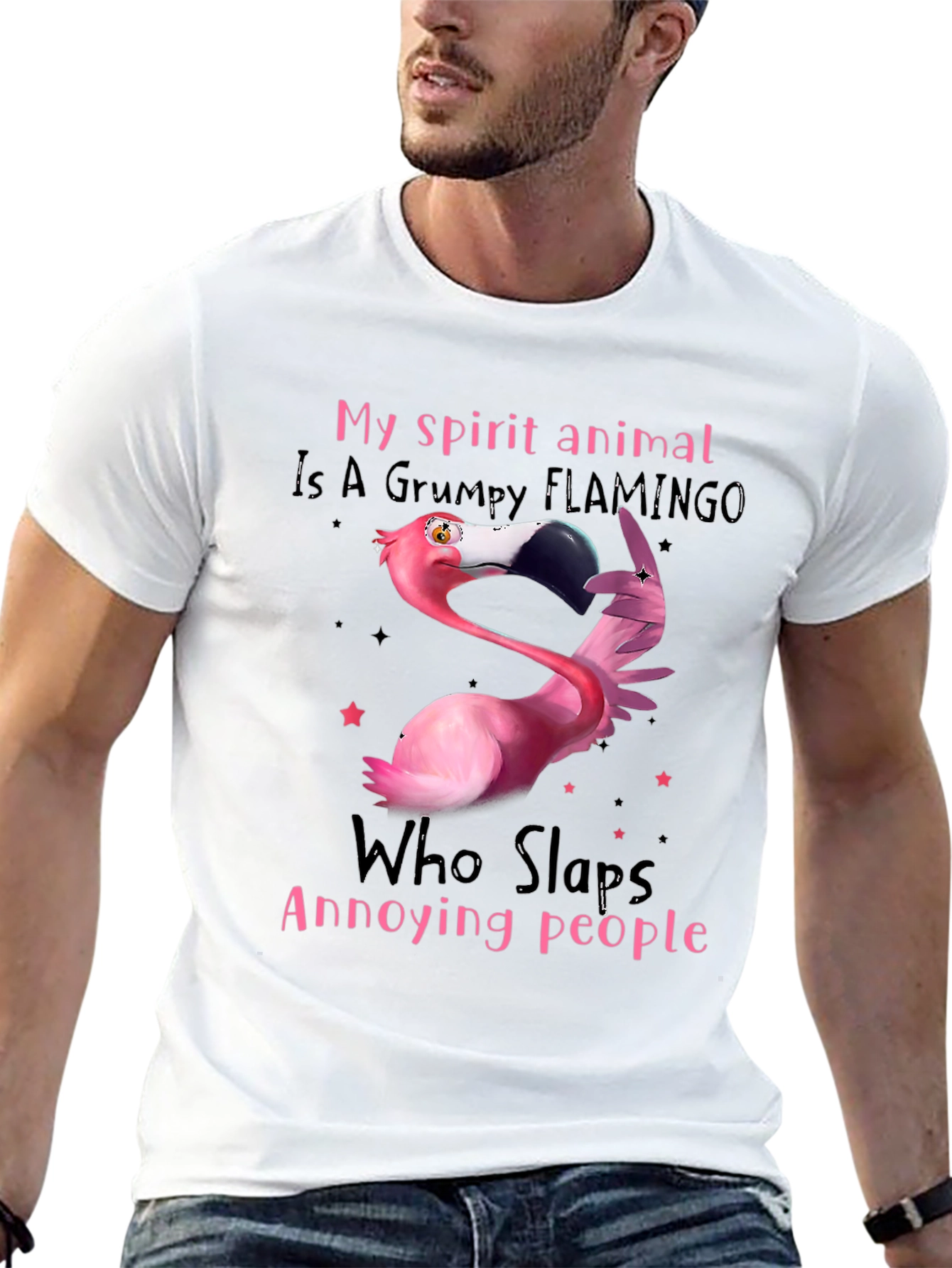 Grumpy Flamingo T-Shirt - Slaps Annoying People