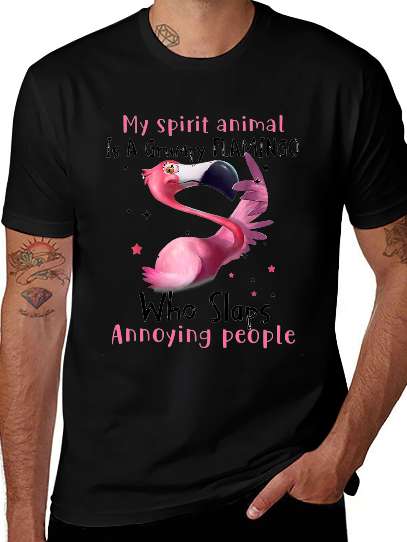 Grumpy Flamingo T-Shirt - Slaps Annoying People