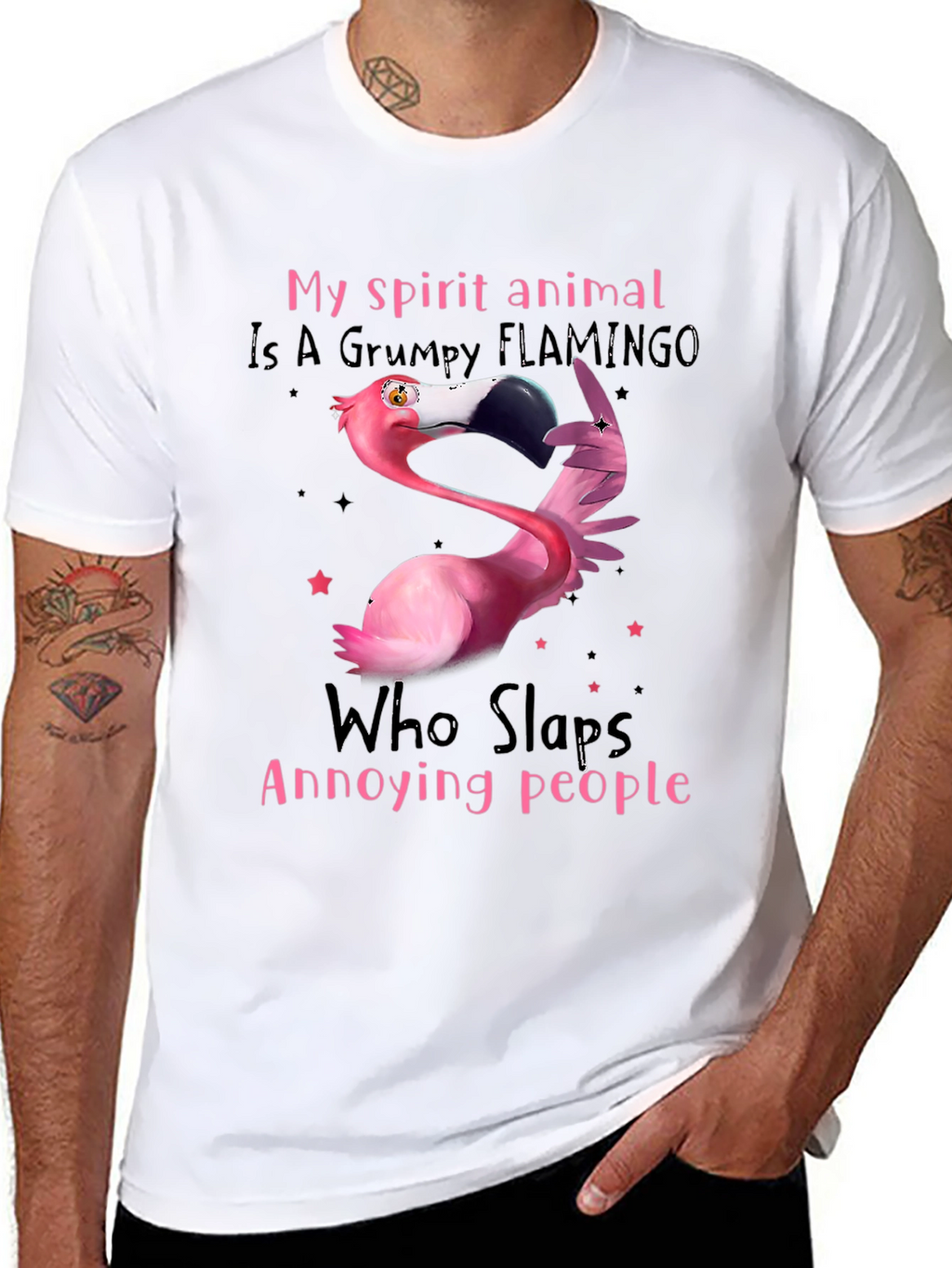 Grumpy Flamingo T-Shirt - Slaps Annoying People