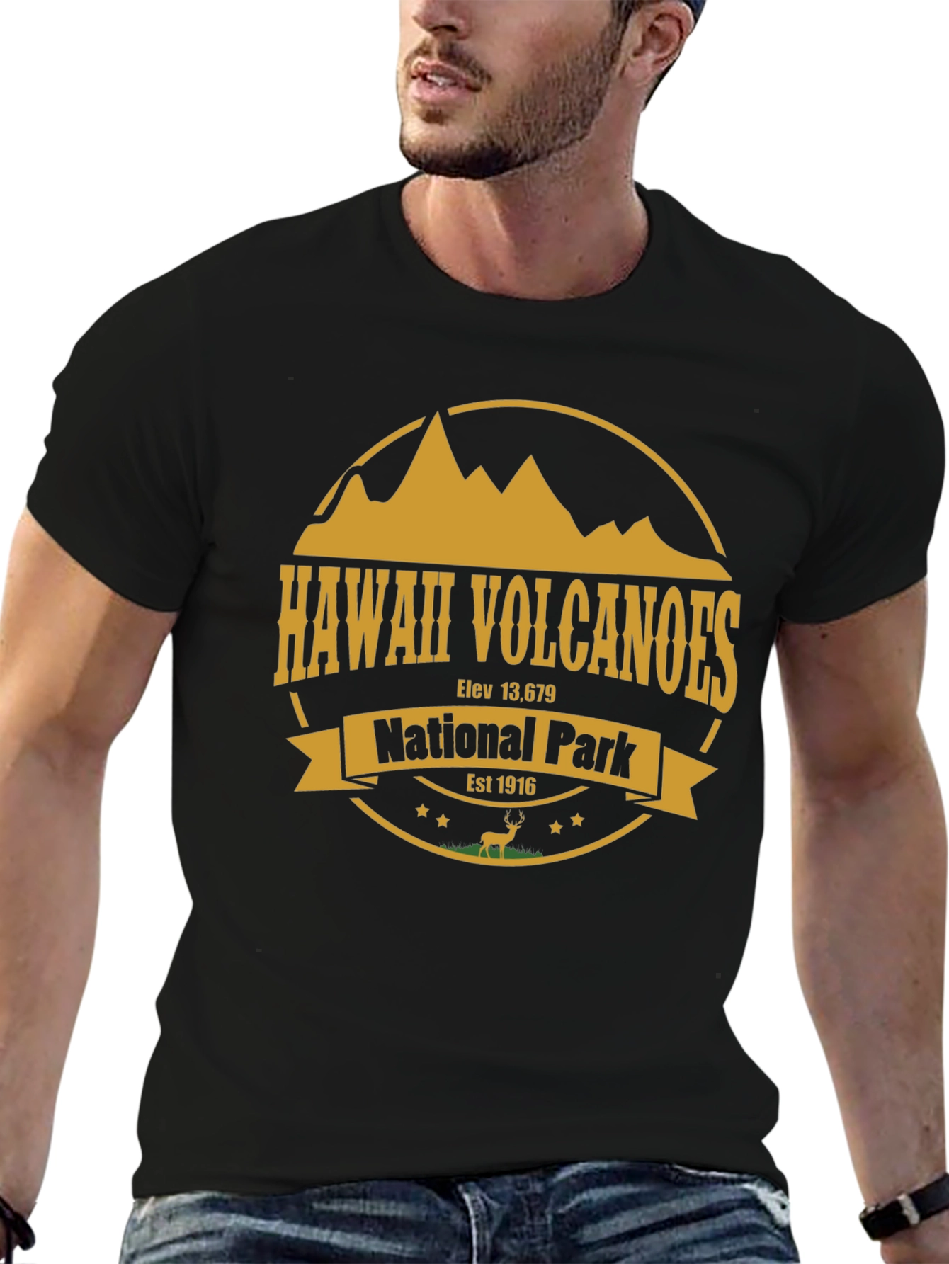 Hawaii Volcanoes National Park T-Shirt