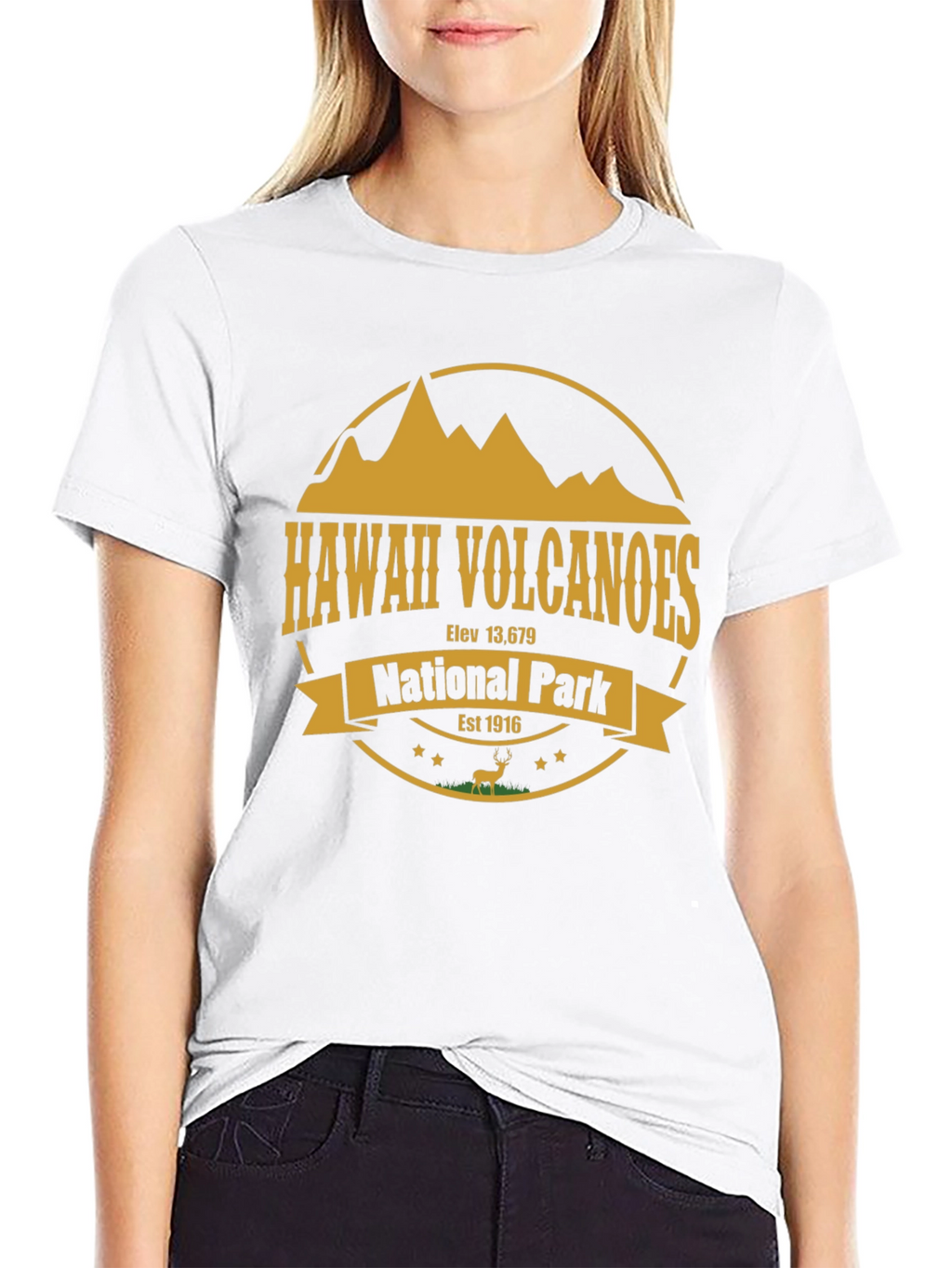 Hawaii Volcanoes National Park T-Shirt