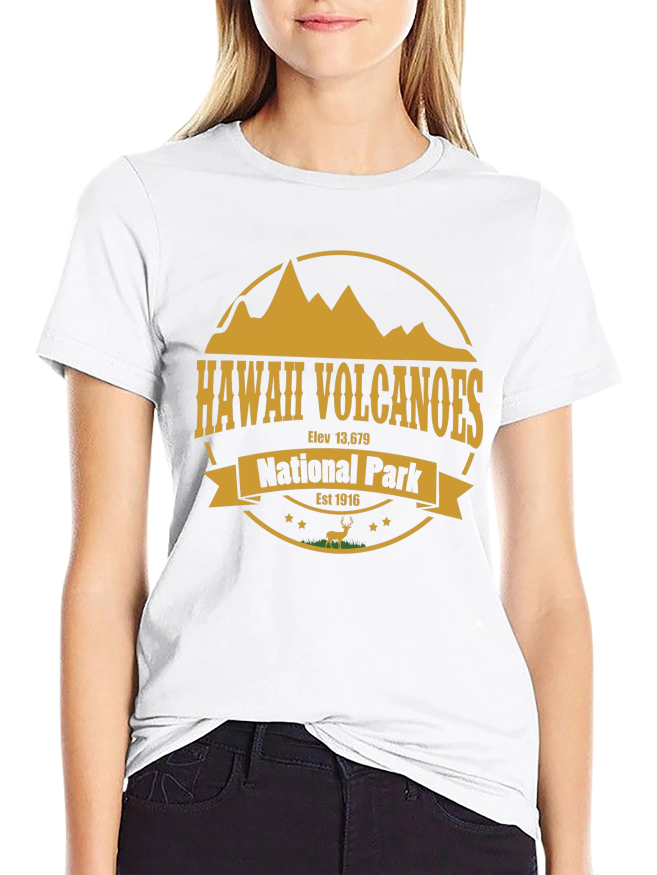 Hawaii Volcanoes National Park T-Shirt
