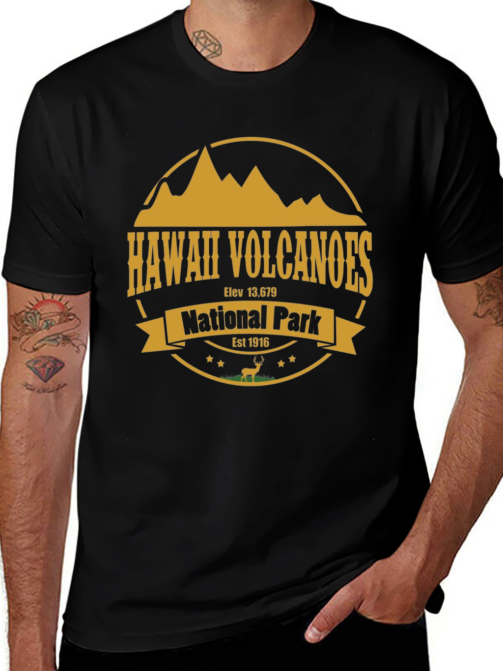 Hawaii Volcanoes National Park T-Shirt